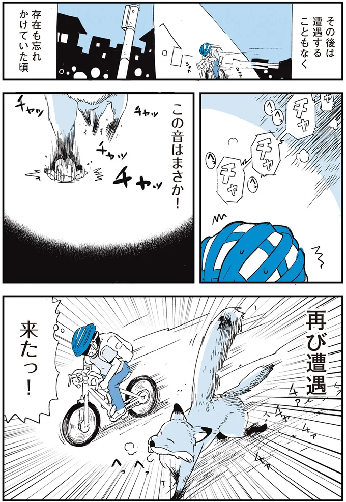 『いつもきみのそばに 動物たちが残した25個の不思議なメッセージ』 14555409.webp