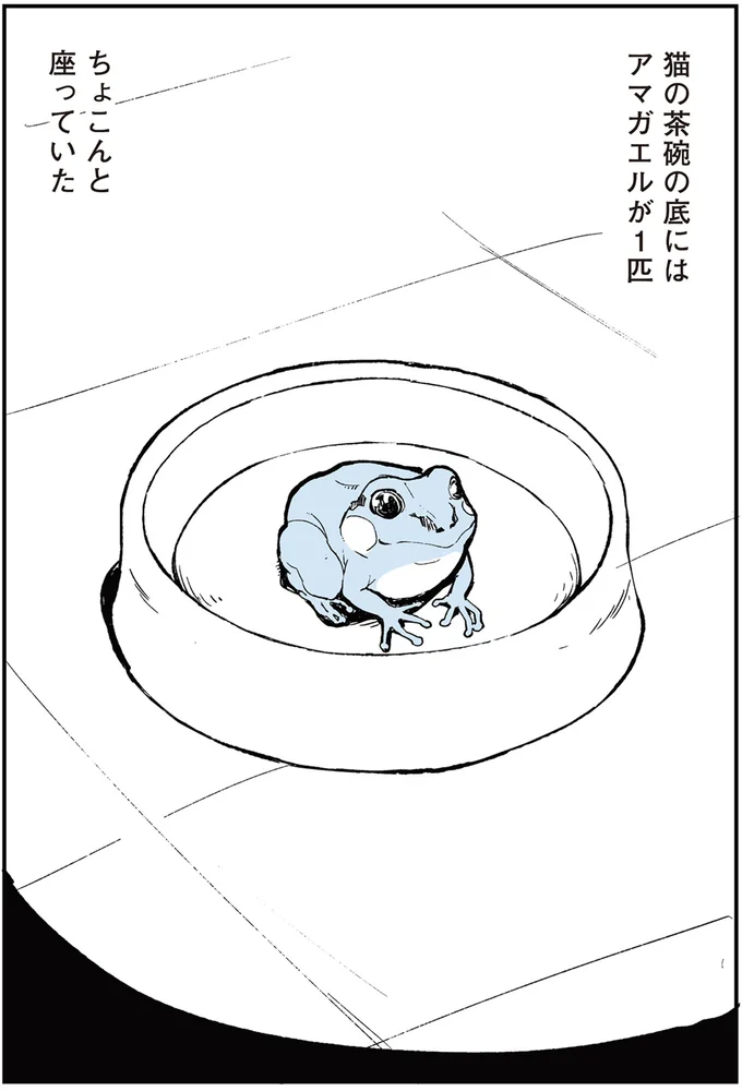 『いつもきみのそばに 動物たちが残した25個の不思議なメッセージ』 14555424.webp