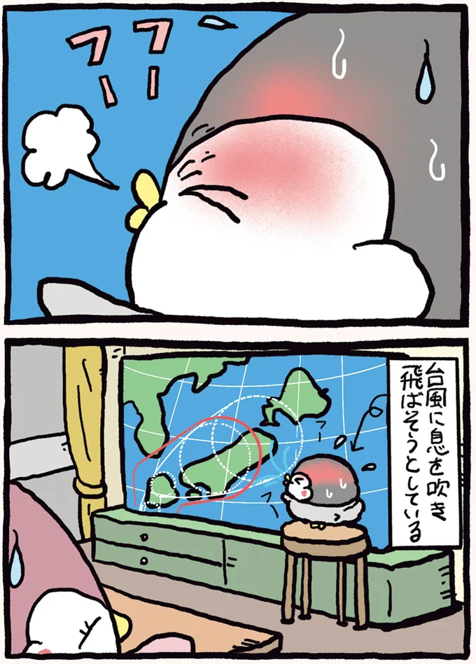 顔を真っ赤にしてフーフー。息子が「こないで」と願うもの／ちゃんぺんとママぺんの平凡だけど幸せな日々 14579384.webp