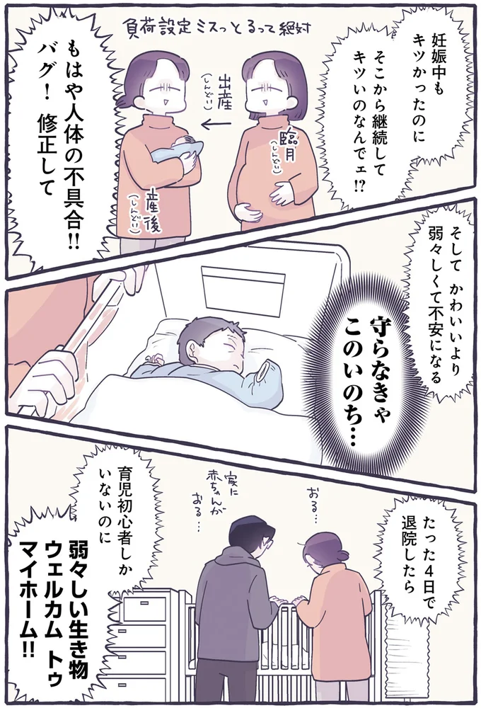 『るしこの子育て日記1～3』 14587844.webp