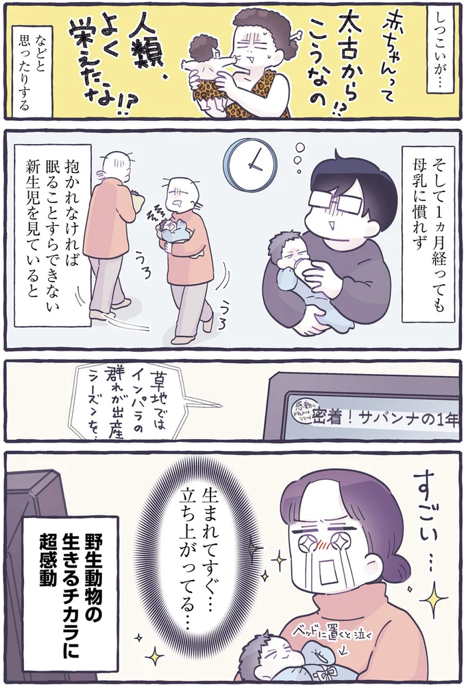 『るしこの子育て日記1～3』 14587846.webp
