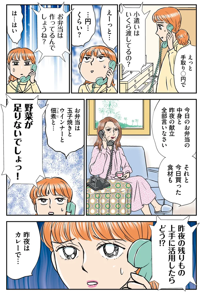 『義母クエスト～結婚したらいきなりラスボス戦でした～』 14632525.webp