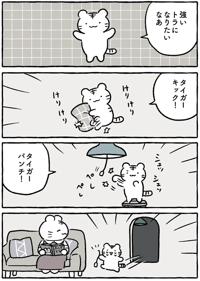 奇跡?強くなりたい「ホワイトとブラック」2人のタイガーが出会った!/ホワイトタイガーとブラックタイガー 14640826.webp