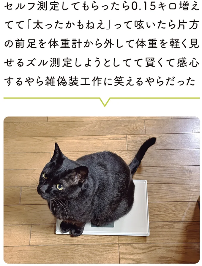 「ゴハン食べたら体重量るから」と言われた猫が、流れるように向かった先は!?／黒猫ろんと暮らしたら7 14691794.webp