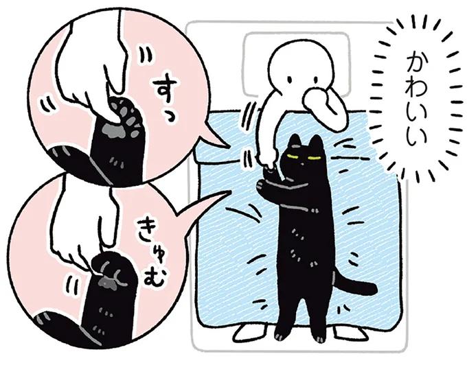 寝心地いい場所を探す猫。飼い主の体の上を歩き回った結果...かわいい!/黒猫ろんと暮らしたら7 14691822.webp