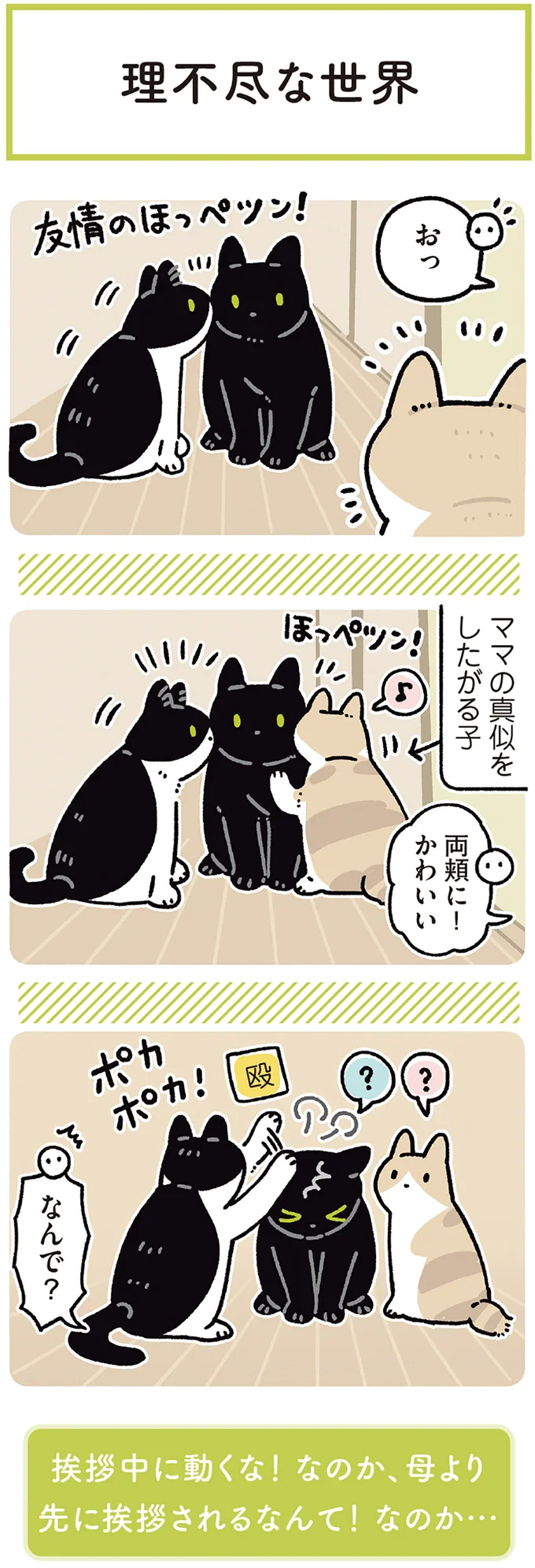 猫同士で友情のほっぺツン! かわいいと思ったら...え?/黒猫ろんと暮らしたら7 14691856.webp