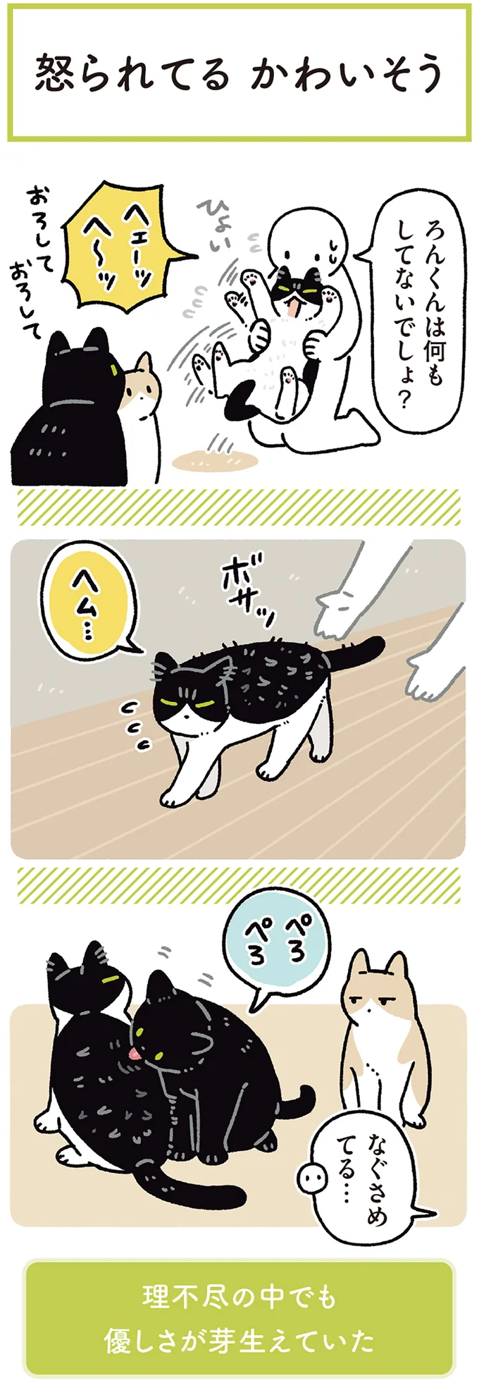 猫同士で友情のほっぺツン！ かわいいと思ったら...え？／黒猫ろんと暮らしたら7 14691857.webp