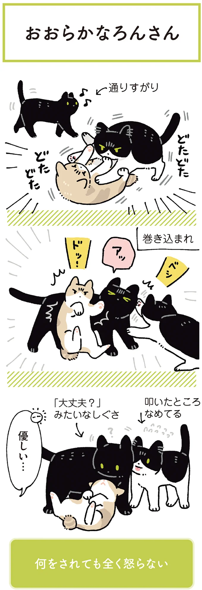 温厚な愛猫の「怒りポイント」。なんて...なんていい子!/黒猫ろんと暮らしたら7 14691862.webp