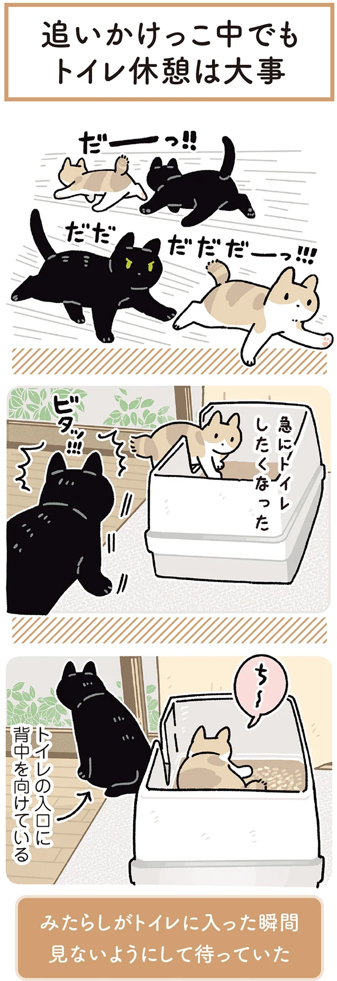 「猫の気遣い」がすごすぎる! 追いかけっこ中、猫がトイレに入ったら...?/黒猫ろんと暮らしたら7 14691898.webp