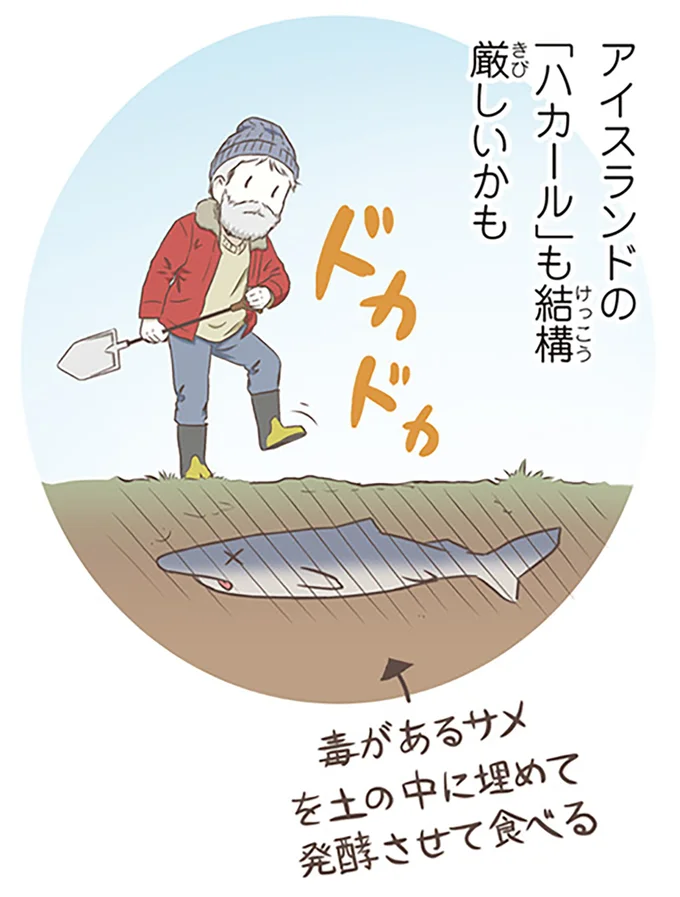 『北欧女子オーサが見つけた日本の不思議』4～5 14713071.webp