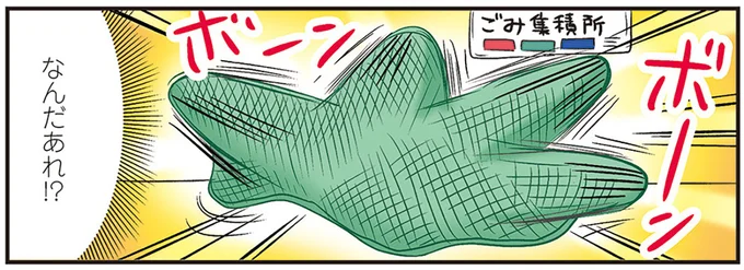 ボーン!ボーン!夜道で遭遇した、うごめくゴミ収集ネット。その正体は.../ひとりぐらしも極まれり