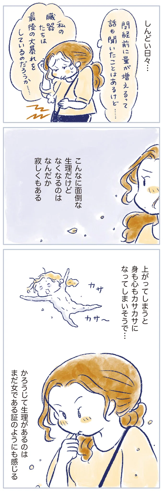「10年越しに再開ってすごい」14キロ痩せて夫ともレス解消のはずが、転職を機に50歳で／私の生理のしまい方 14737799.webp