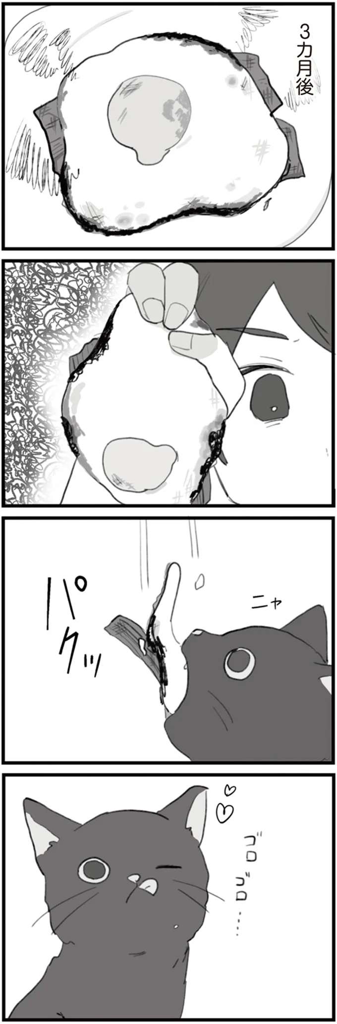 『旦那の浮気を仕掛けた黒幕は姑でした』 14755344.webp