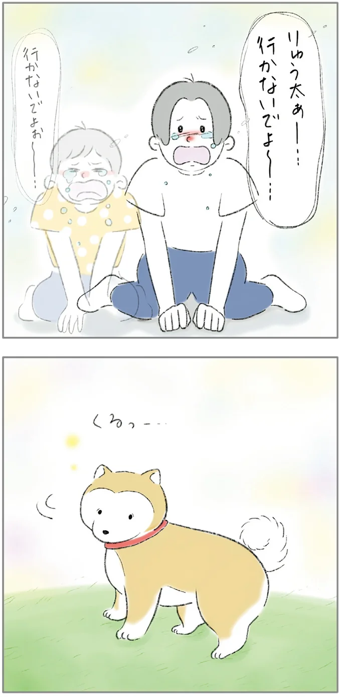 『ターとアグのしあわせ日和 元ノラ猫と元保護犬、ふたりは親友』 06-06.png