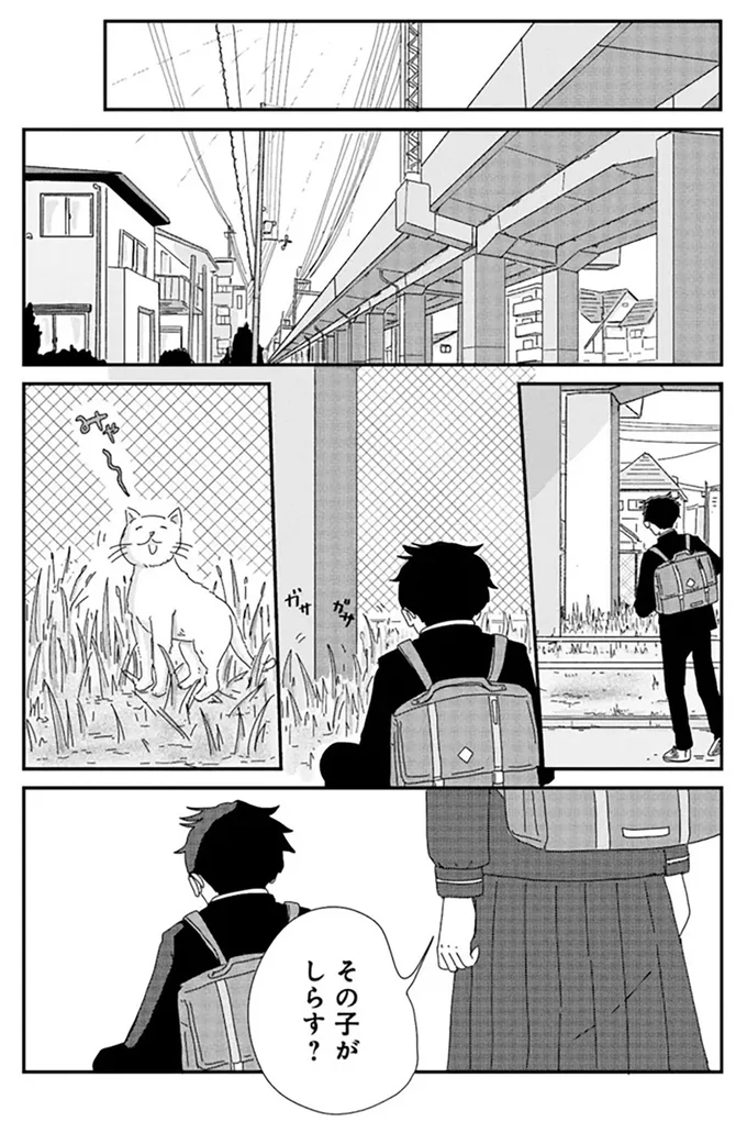 『マイペースと歩く』 14859932.webp