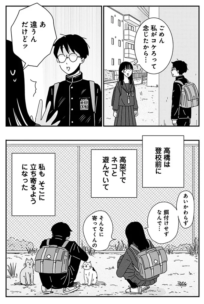 『マイペースと歩く』 14860071.webp