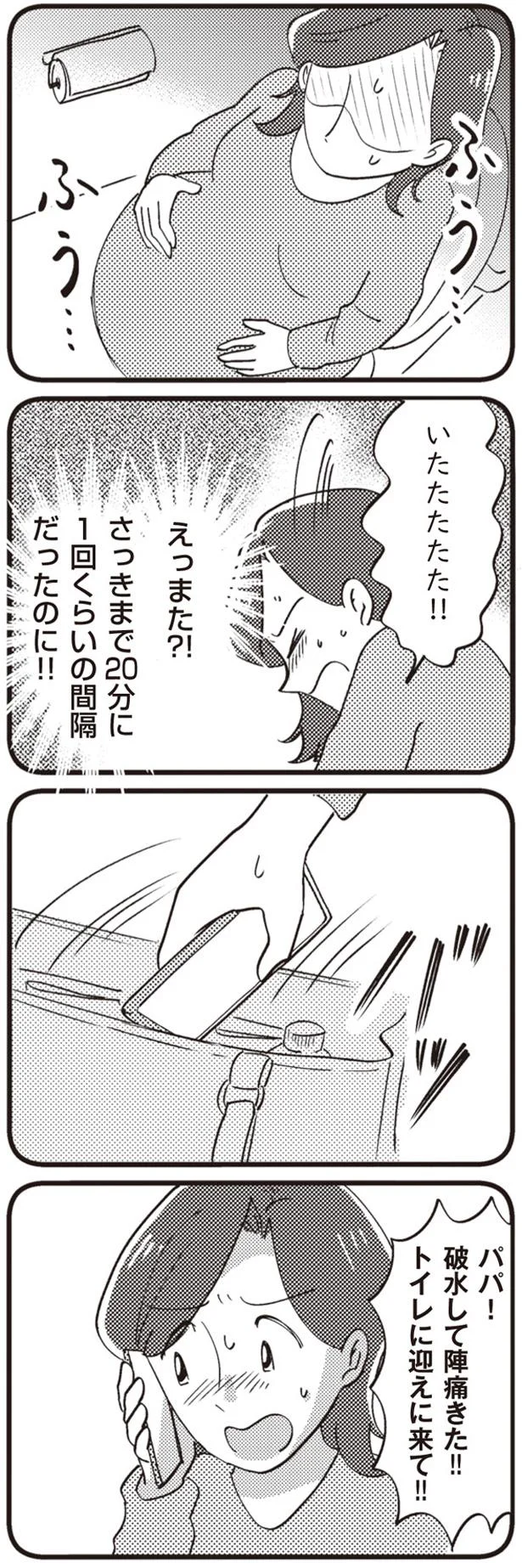 『16歳の母 ～助産師が見た、奇跡の出産物語～』 14863262.webp