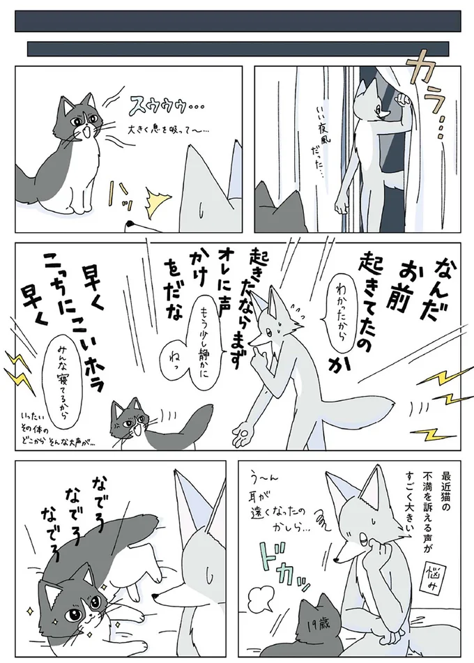 『眠れぬ夜はケーキを焼いて』1～3 14914839.webp