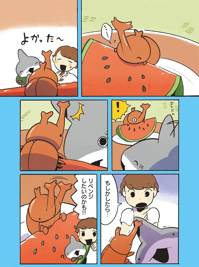 勝利のため、かぶとむしちゃんと子ザメちゃんが猛特訓！そして、勝負の結末は？／おでかけ子ザメ7 14924762.webp