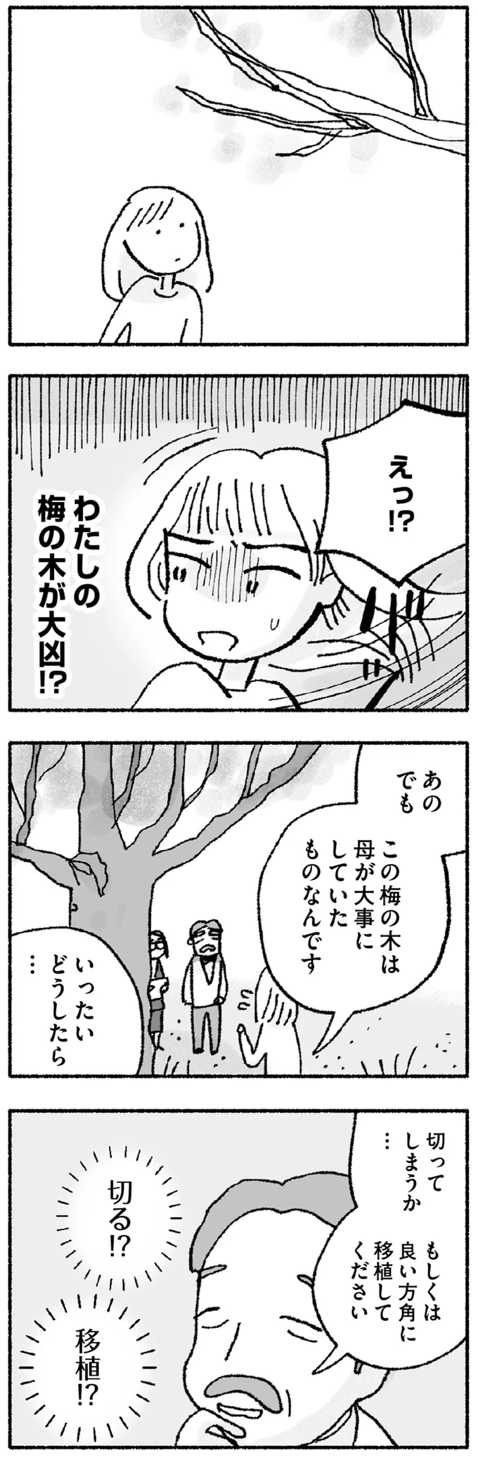 『占いにすがる私は間違っていますか？』 14947848.webp