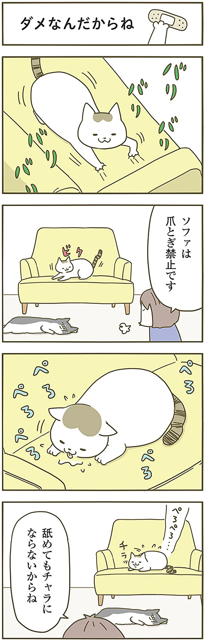 『うちの猫がまた変なことしてる。』1～4 14970544.webp