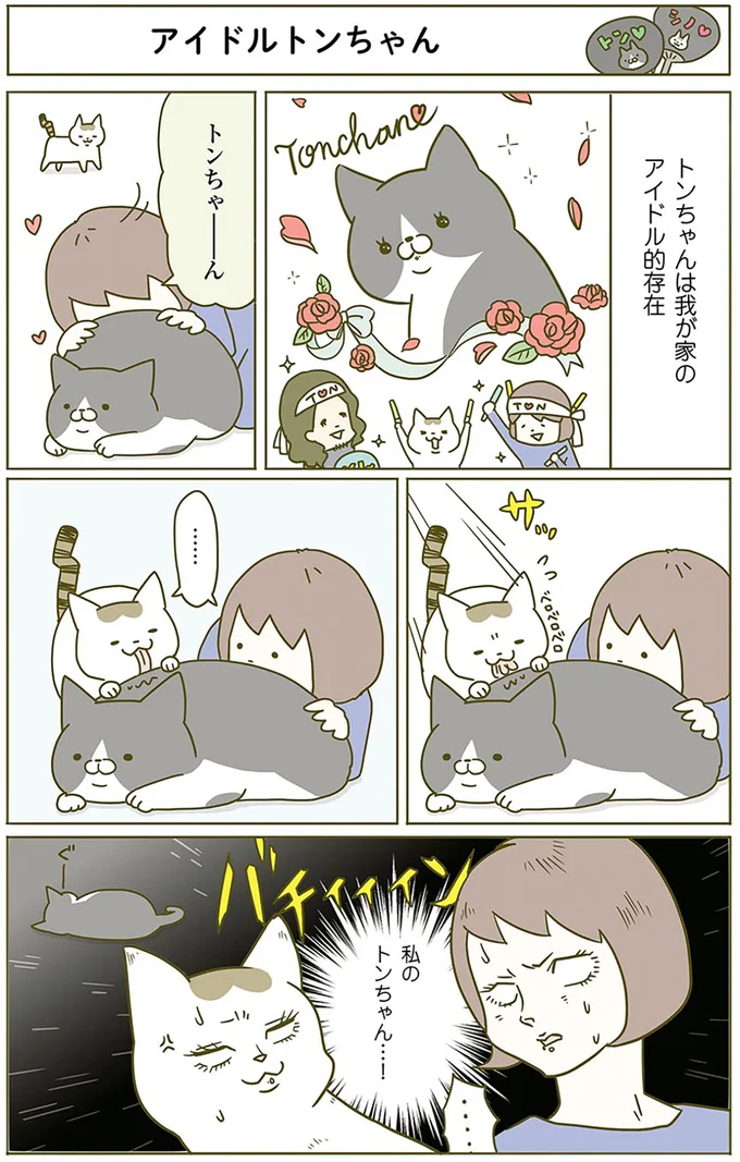 『うちの猫がまた変なことしてる。』1～4 14979471.webp