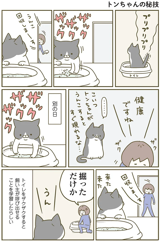 『うちの猫がまた変なことしてる。』1～4 14993294.webp