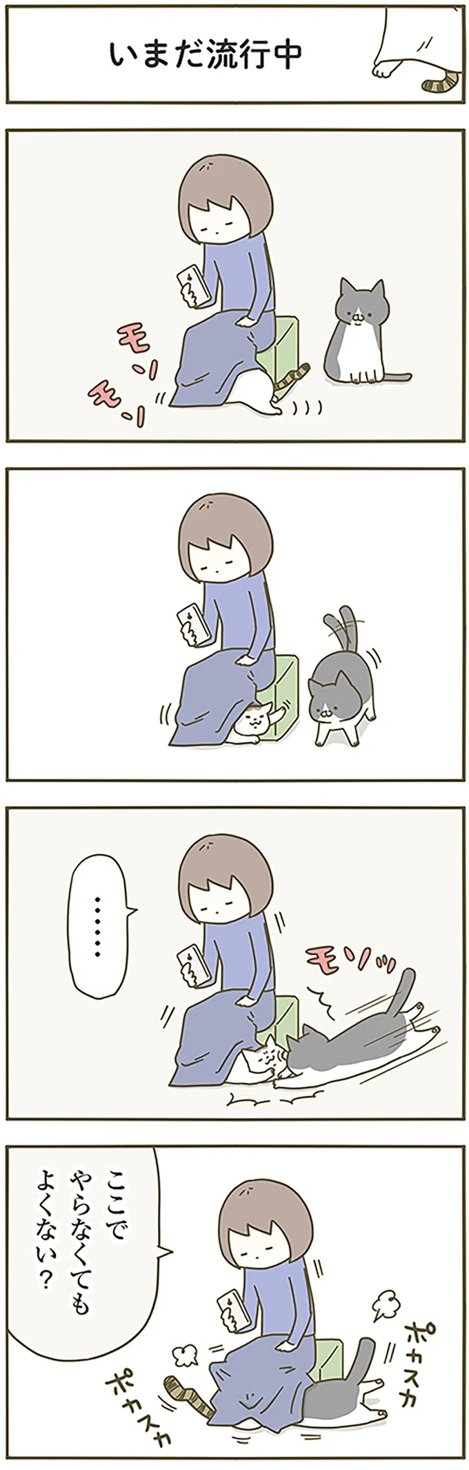 『うちの猫がまた変なことしてる。』1～4 14993343.webp