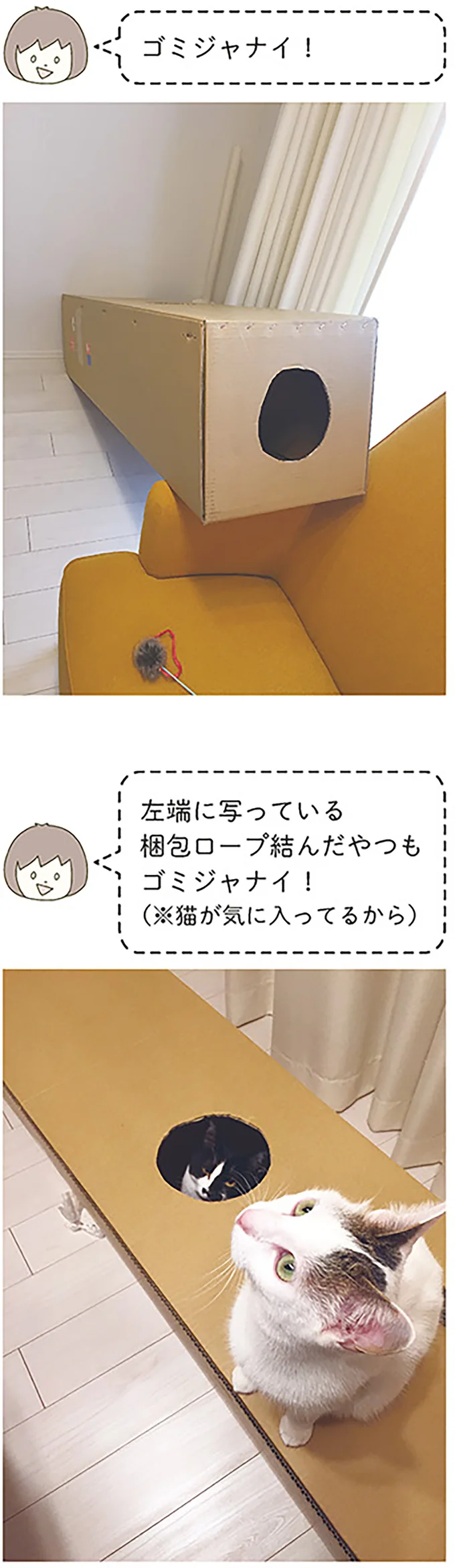 『うちの猫がまた変なことしてる。』1～4 14993348.webp