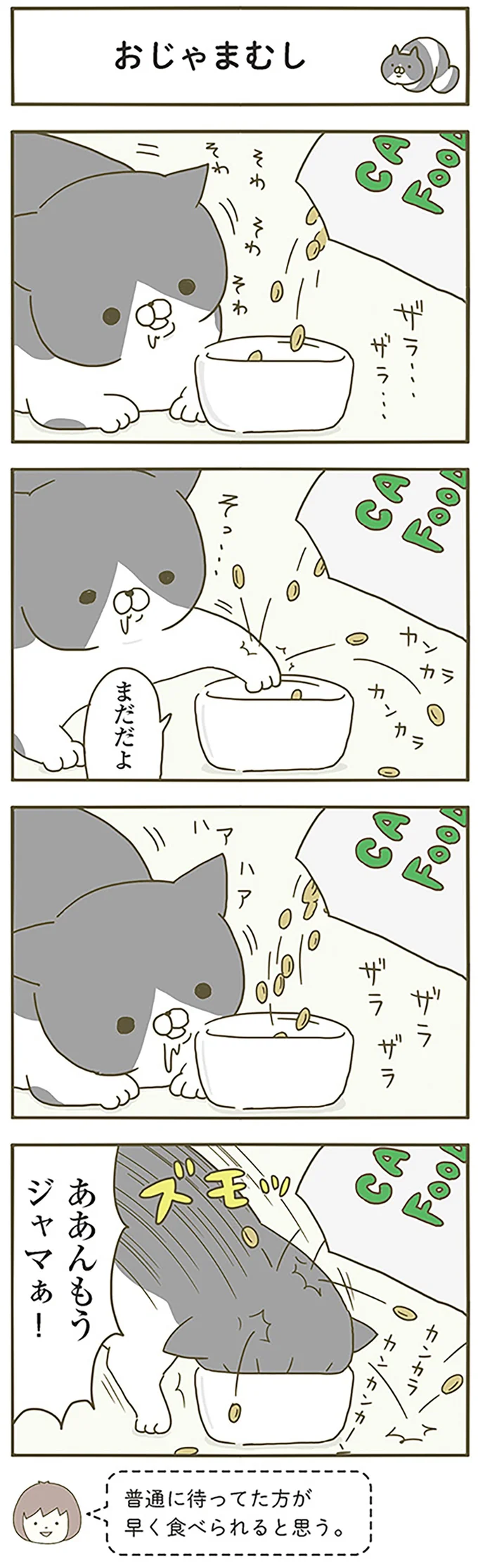『うちの猫がまた変なことしてる。』1～4 14993411.webp