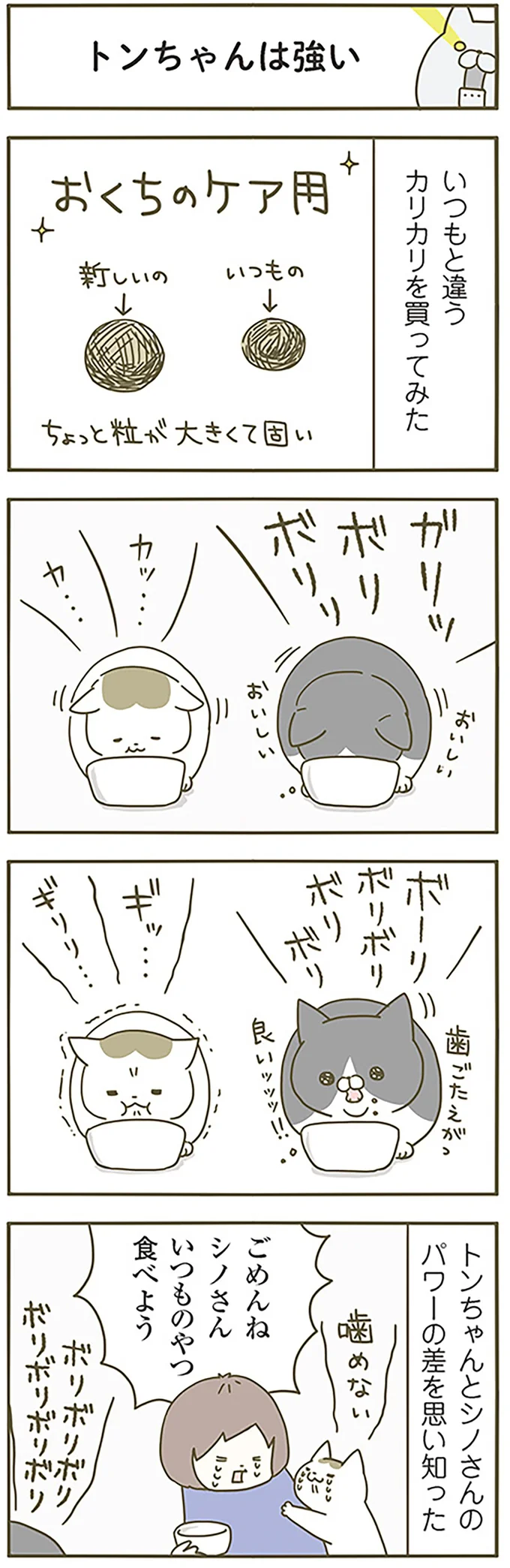 『うちの猫がまた変なことしてる。』1～4 14993414.webp