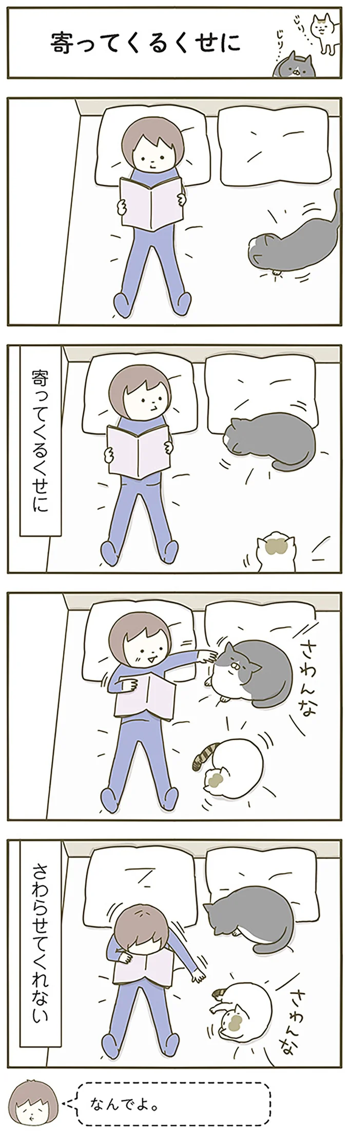 『うちの猫がまた変なことしてる。』1～4 14993428.webp