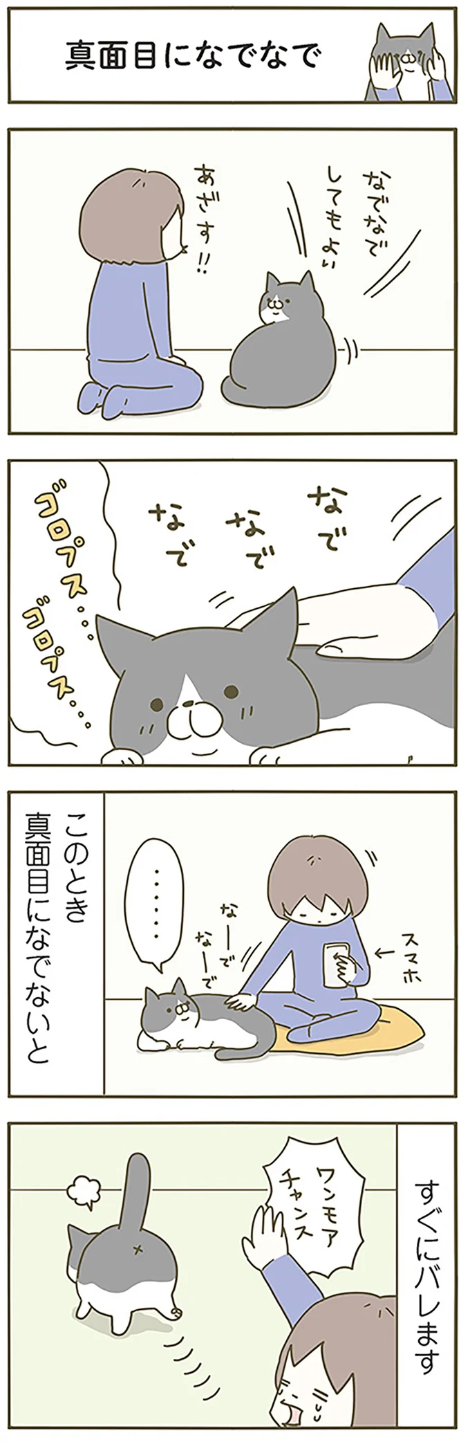 『うちの猫がまた変なことしてる。』1～4 14993430.webp