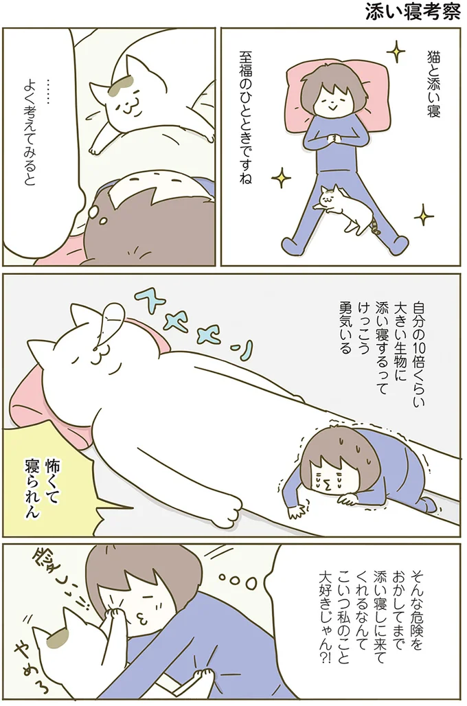 『うちの猫がまた変なことしてる。』1～4 14993432.webp