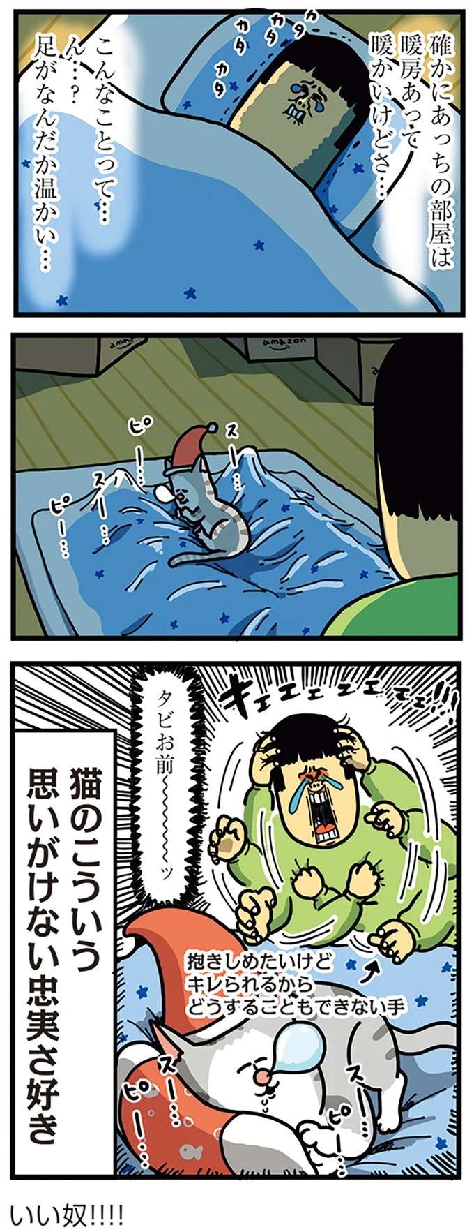 「こんなことって...」犬と猫の忠実さが分かった日。うわわわ、いい奴!!／まめきちまめこニートの日常 こまちとタビ4 mame2_3.jpeg