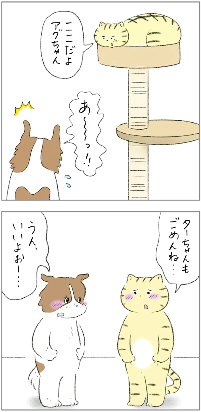 『ターとアグのしあわせ日和 元ノラ猫と元保護犬、ふたりは親友』 05-12.png