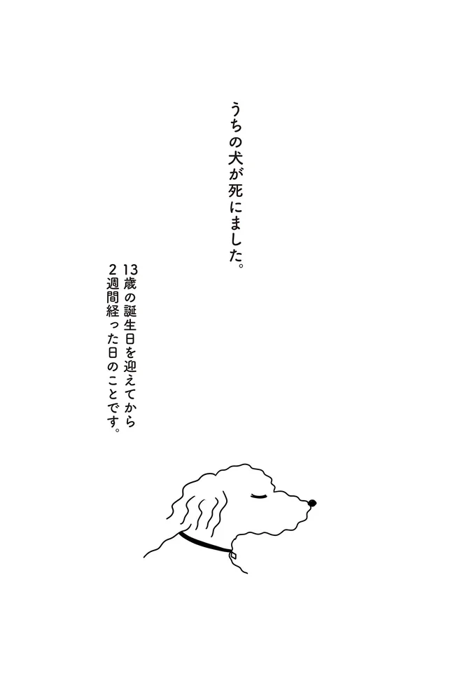 「犬、飼おうか」不登校だった私にきっかけをくれた母の一言／おはよう、サンテ 15013717.webp