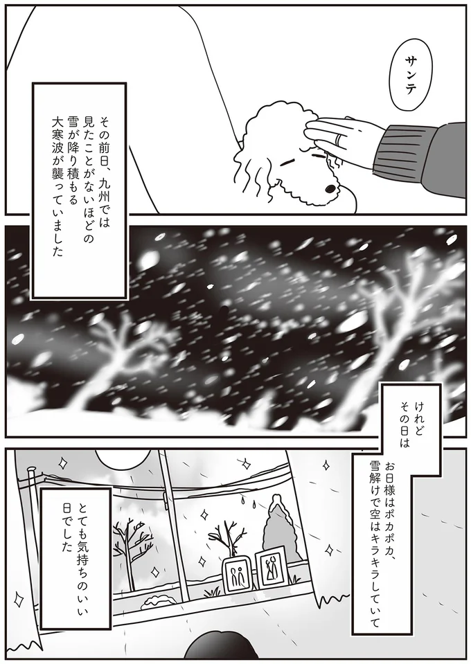 『おはよう、サンテ 不登校の私を救った愛犬との日々』 15013718.webp