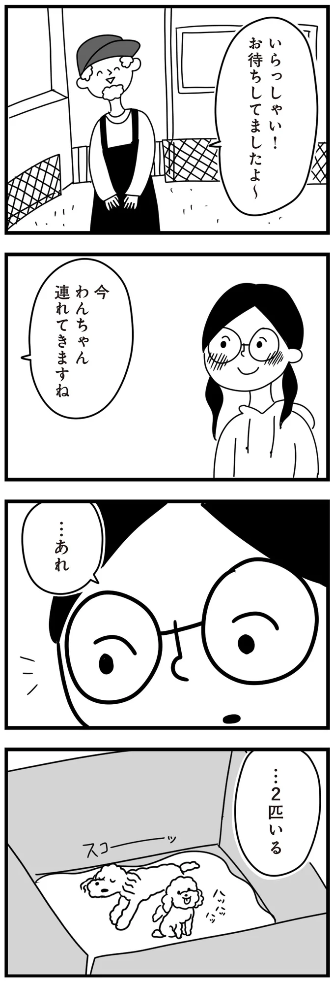 『おはよう、サンテ 不登校の私を救った愛犬との日々』 15014460.webp