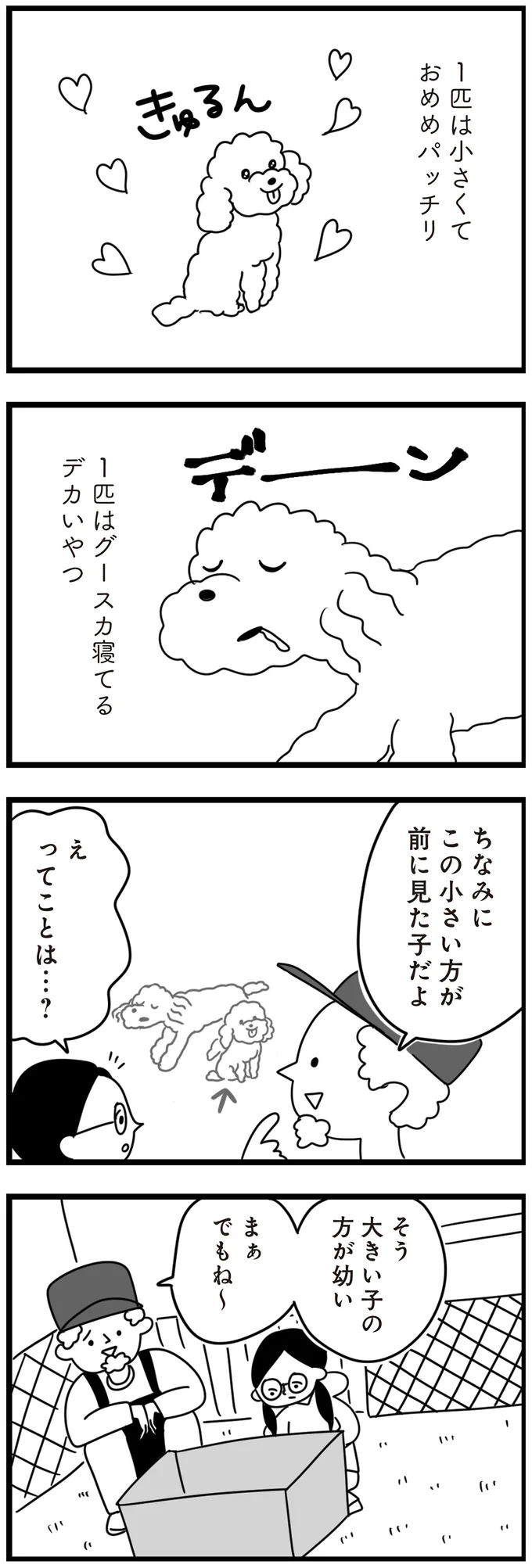 『おはよう、サンテ 不登校の私を救った愛犬との日々』 15014461.webp