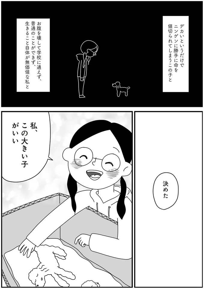 『おはよう、サンテ 不登校の私を救った愛犬との日々』 15014463.webp