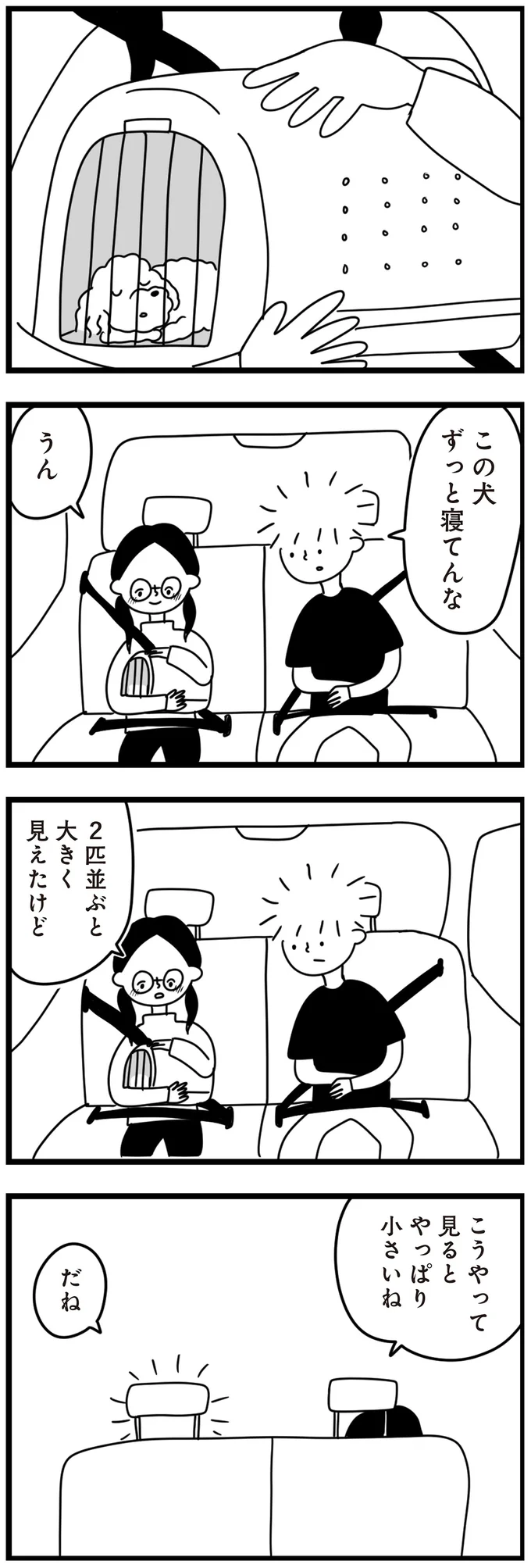 不登校少女の家にやってきた「臆病な子犬」。しばらくは人間を警戒していたけど.../おはよう、サンテ 15014484.webp