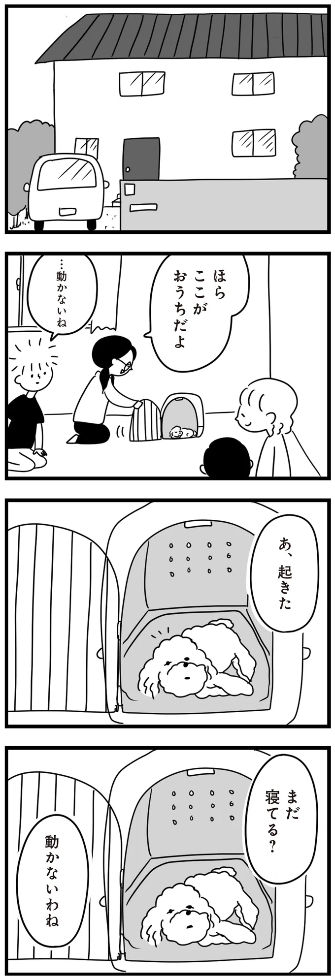 『おはよう、サンテ 不登校の私を救った愛犬との日々』 15014485.webp