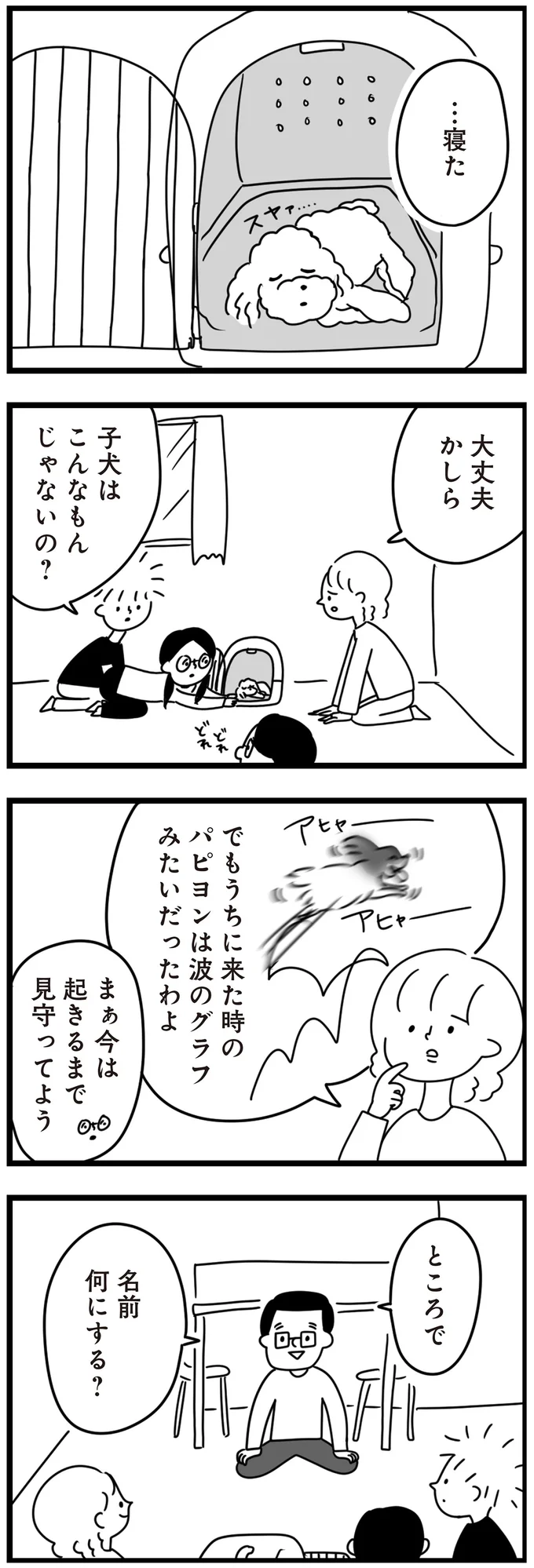 『おはよう、サンテ 不登校の私を救った愛犬との日々』 15014486.webp