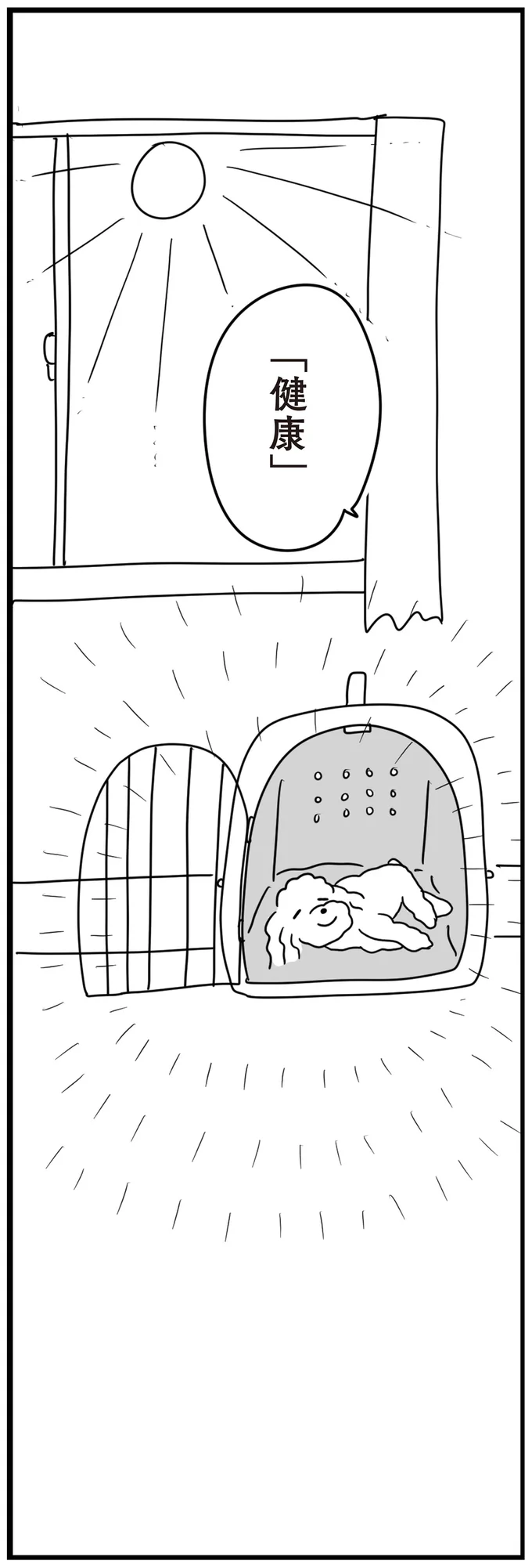 『おはよう、サンテ 不登校の私を救った愛犬との日々』 15014488.webp