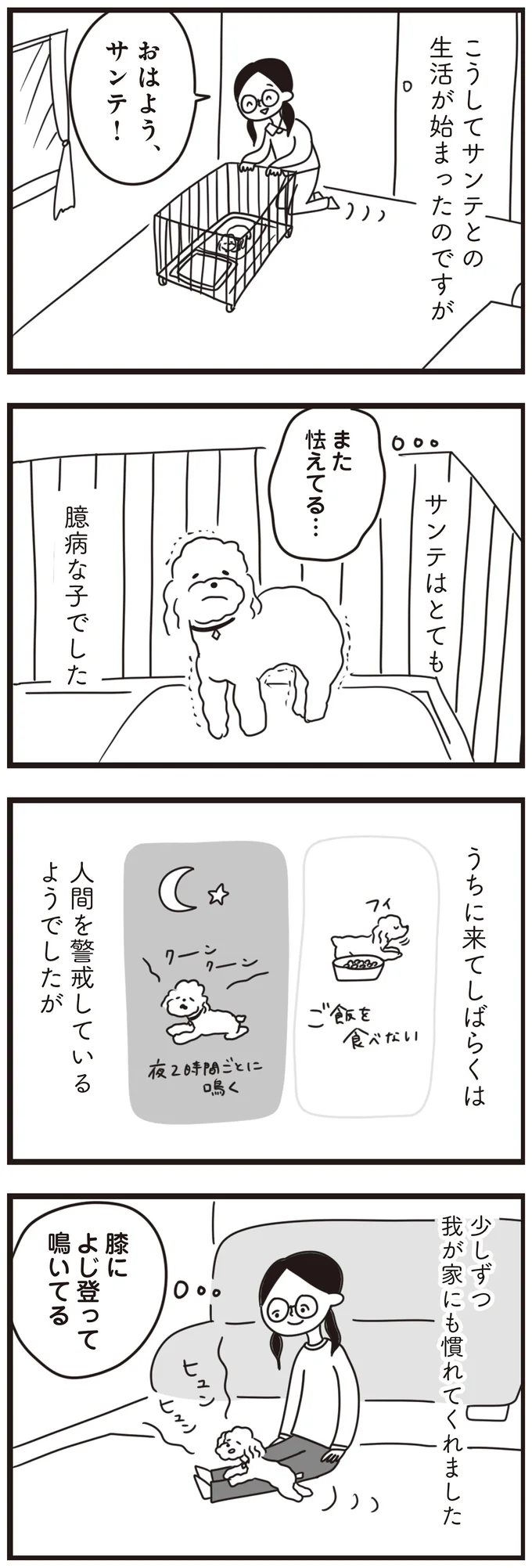 『おはよう、サンテ 不登校の私を救った愛犬との日々』 15014490.webp