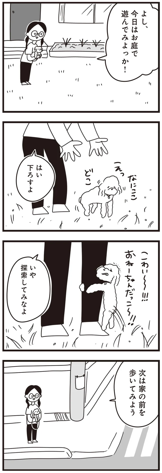 「いやお前...」臆病な犬が初の散歩でよその犬に遭遇。反応は...えええ/おはよう、サンテ 15014545.webp