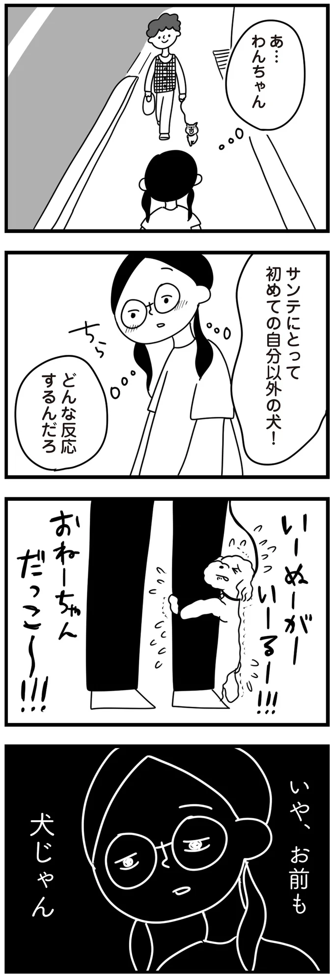 『おはよう、サンテ 不登校の私を救った愛犬との日々』 15014547.webp