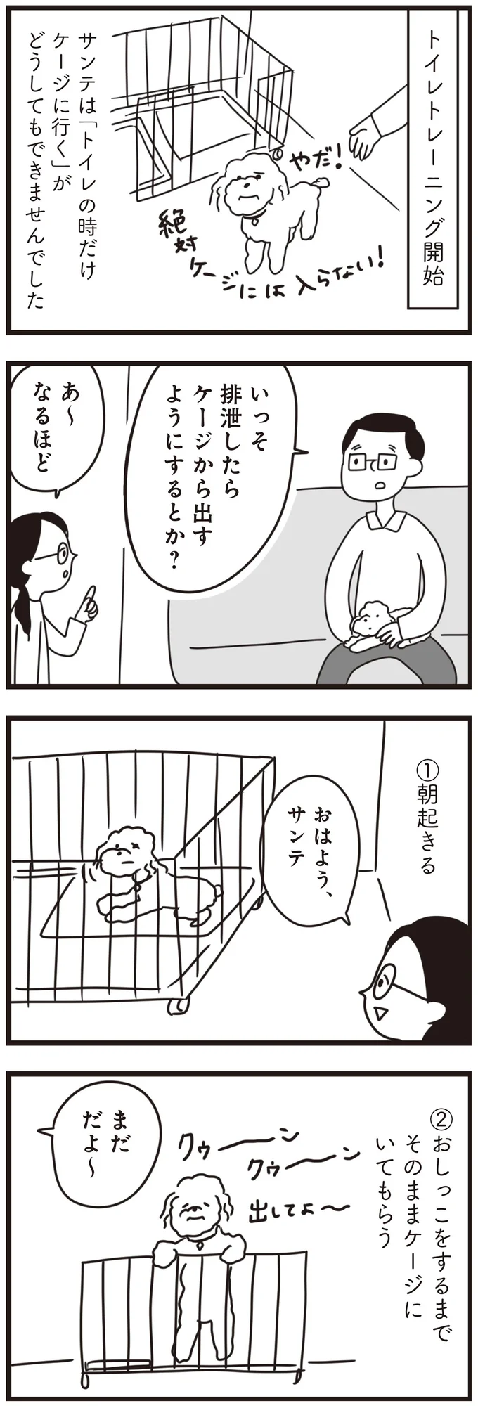 「違う違う!」子犬にトイレを覚えさせることに成功!と思ったら.../おはよう、サンテ 15014611.webp