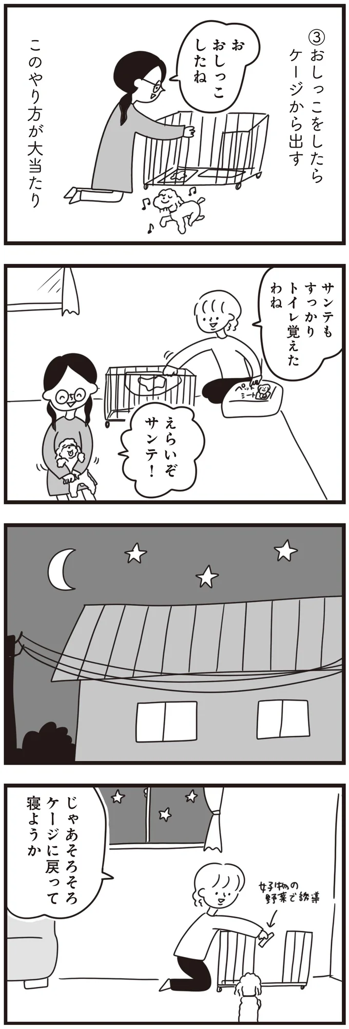 『おはよう、サンテ 不登校の私を救った愛犬との日々』 15014612.webp